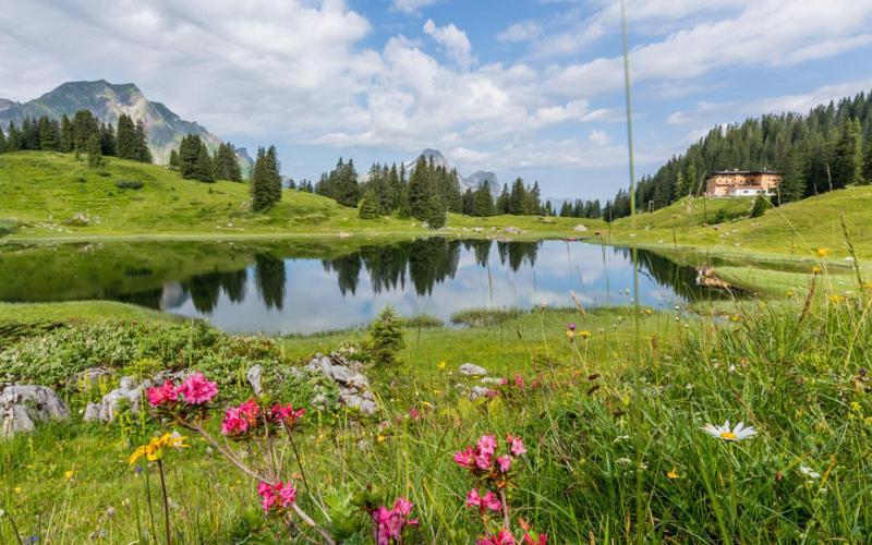 Ferienwohnungen Schantl Schoppernau Exteriör bild