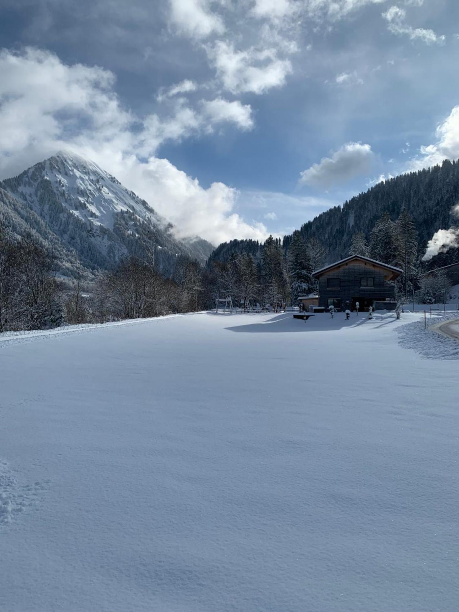 Ferienwohnungen Schantl Schoppernau Exteriör bild