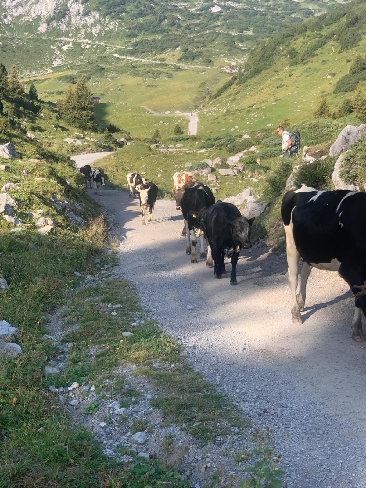 Ferienwohnungen Schantl Schoppernau Exteriör bild